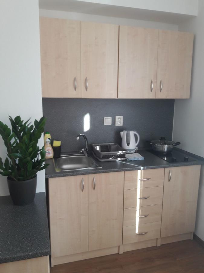 Apartmany Lipa Tábor Extérieur photo