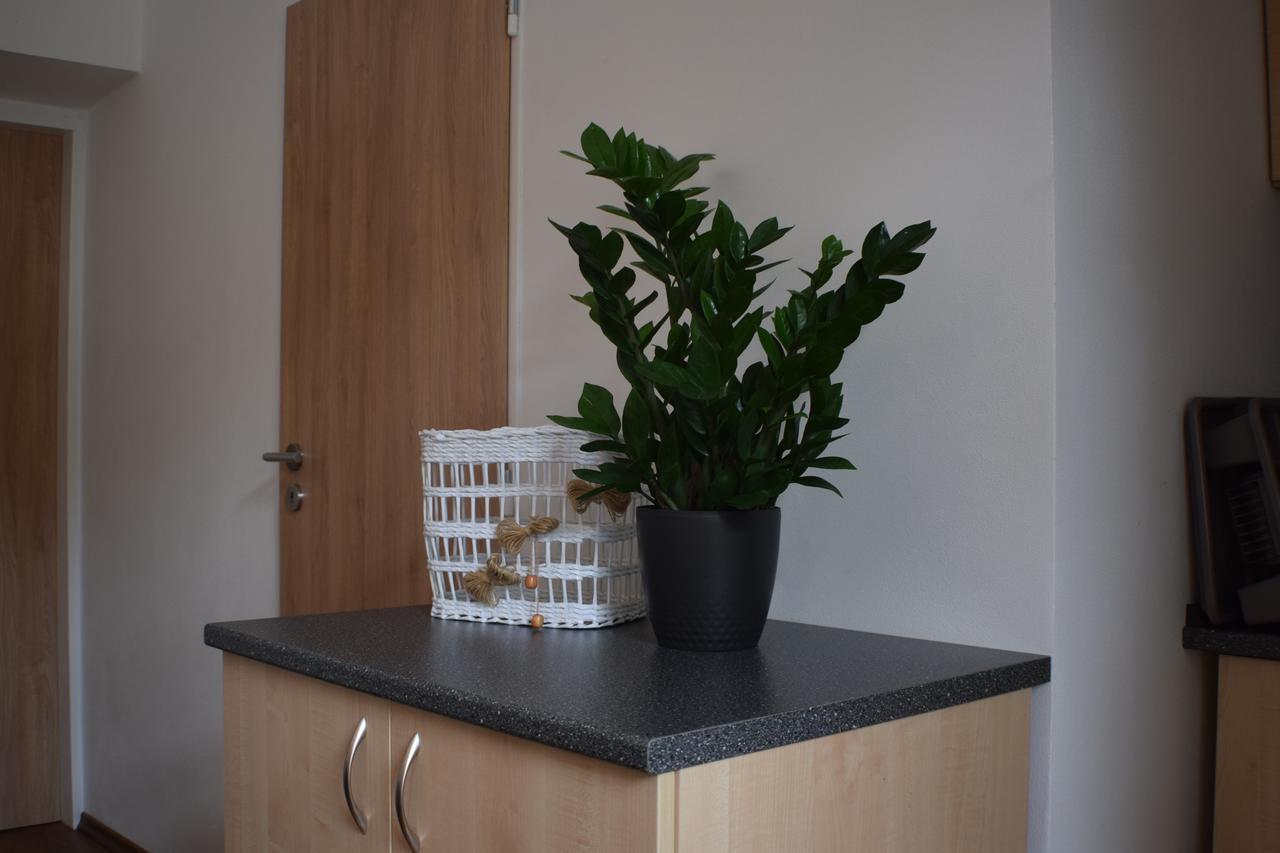 Apartmany Lipa Tábor Extérieur photo
